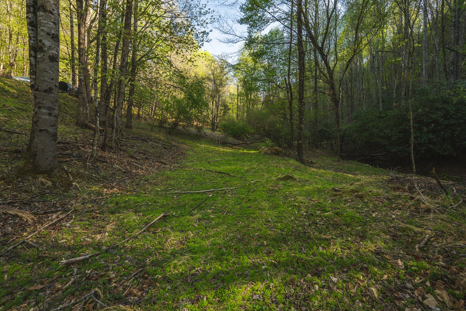 TBD Black Ridge RD - Photo 28