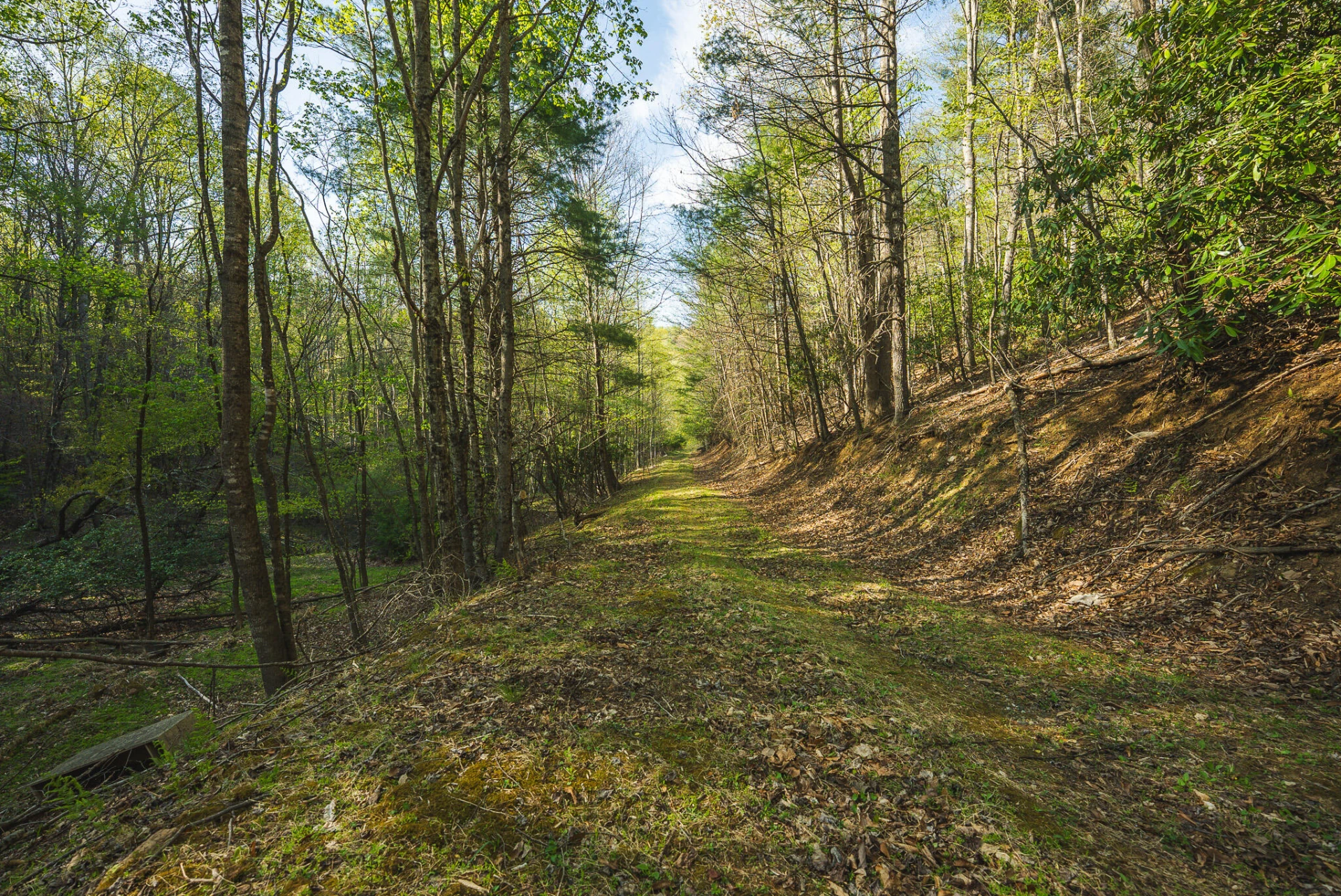 TBD Black Ridge RD - Photo 29