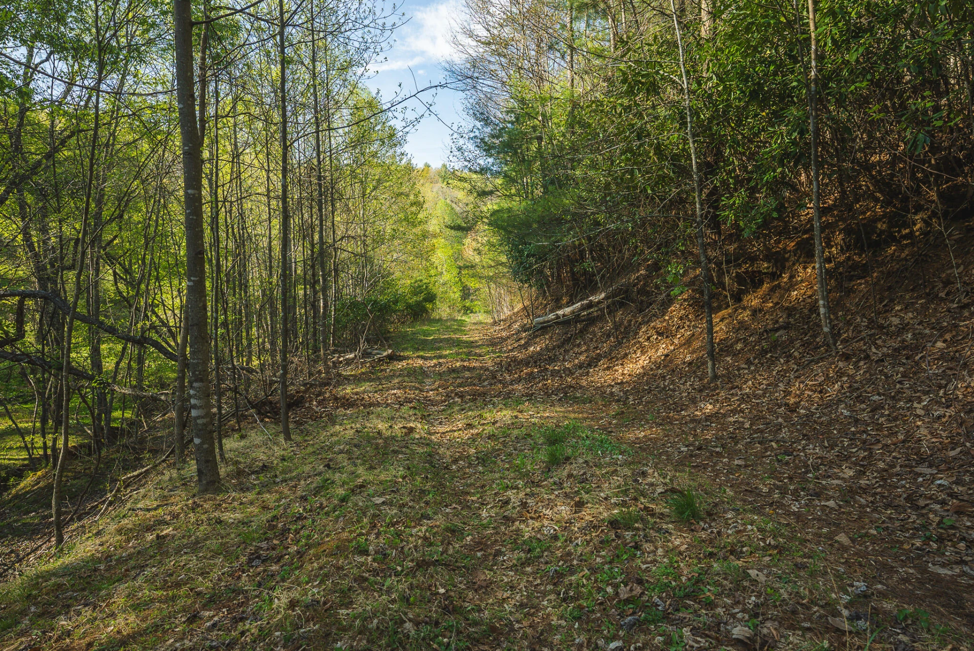 TBD Black Ridge RD - Photo 31