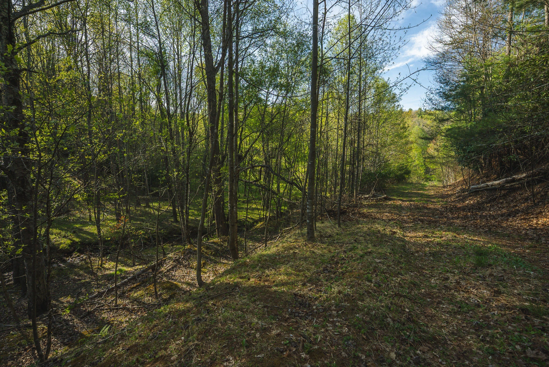 TBD Black Ridge RD - Photo 32