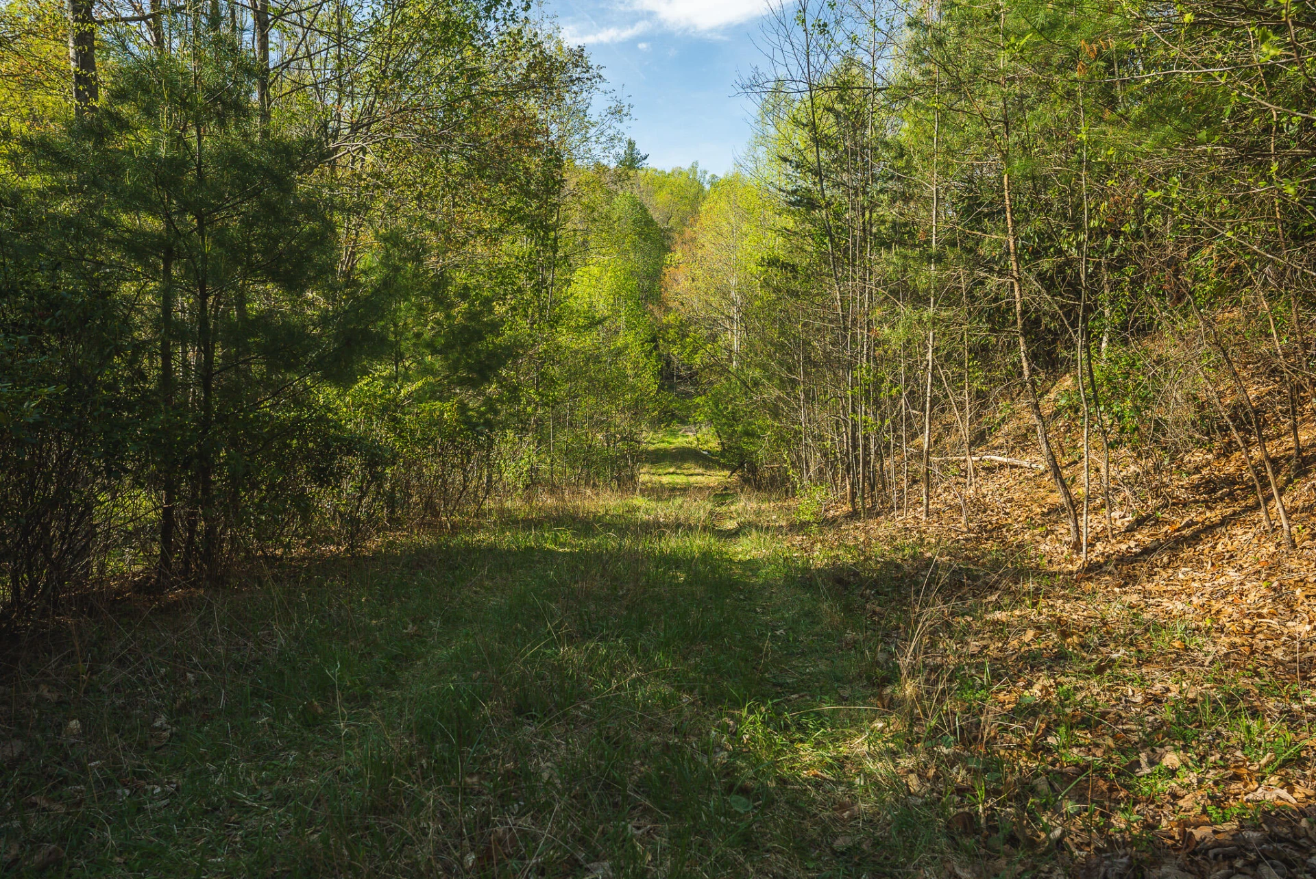 TBD Black Ridge RD - Photo 34