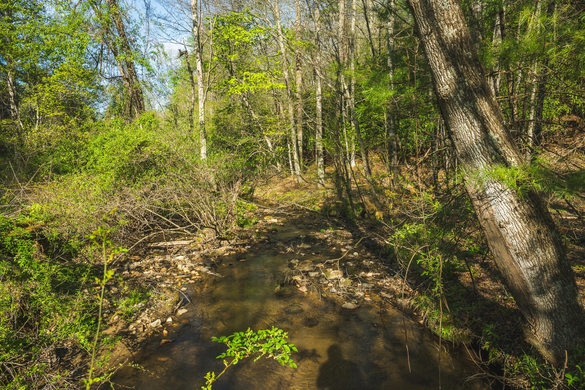 TBD Black Ridge RD - Photo 37