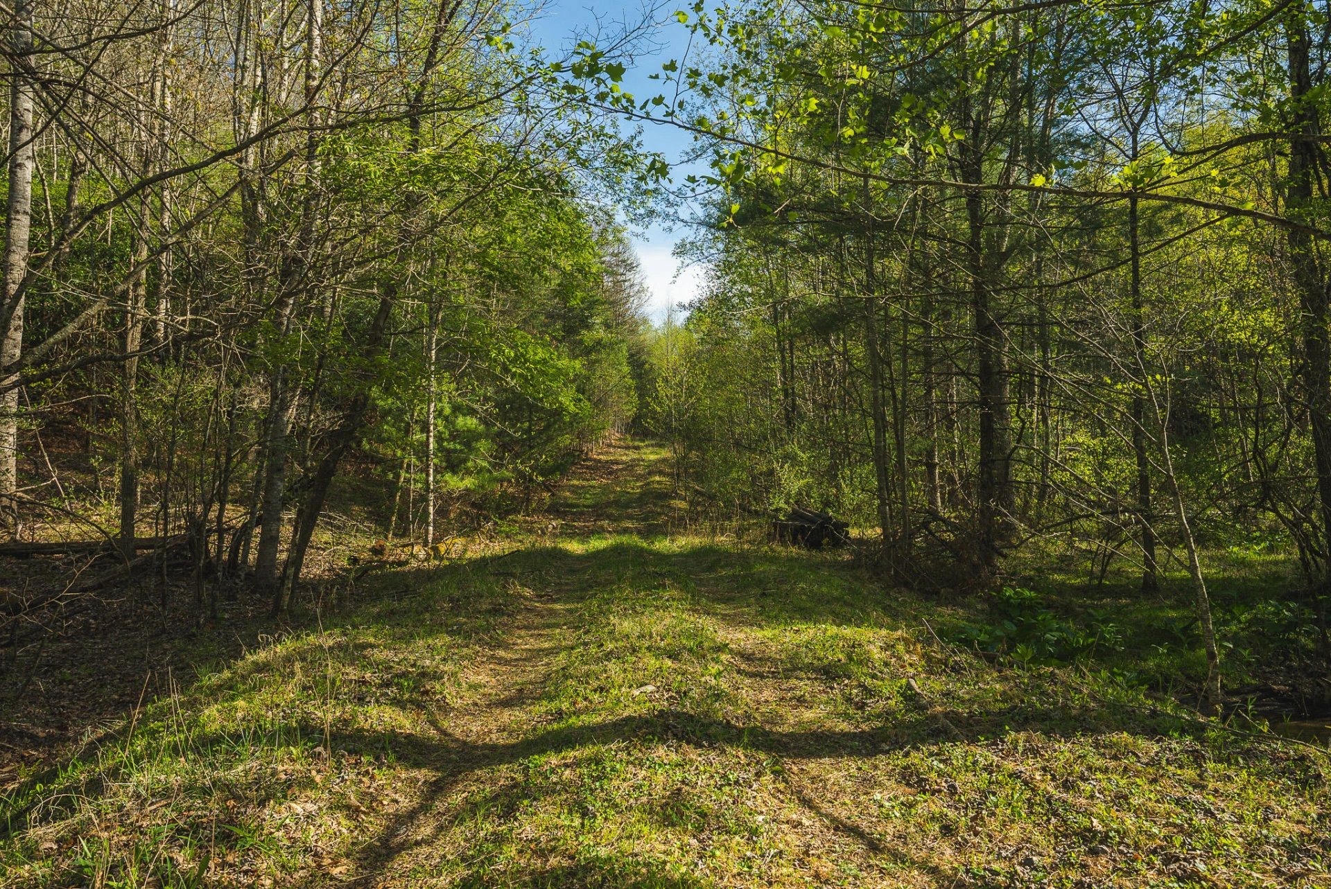 TBD Black Ridge RD - Photo 38