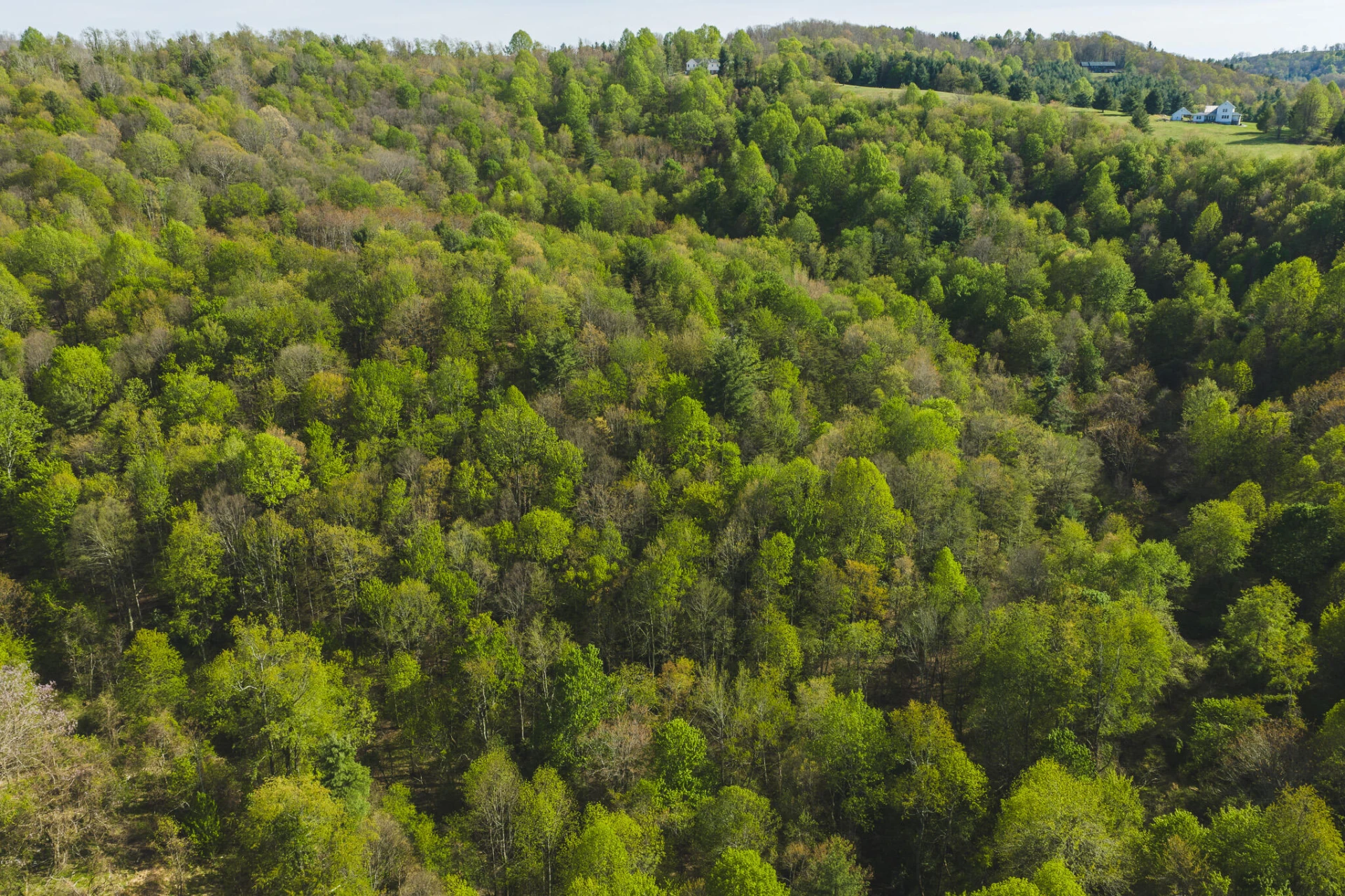 TBD Black Ridge RD - Photo 4