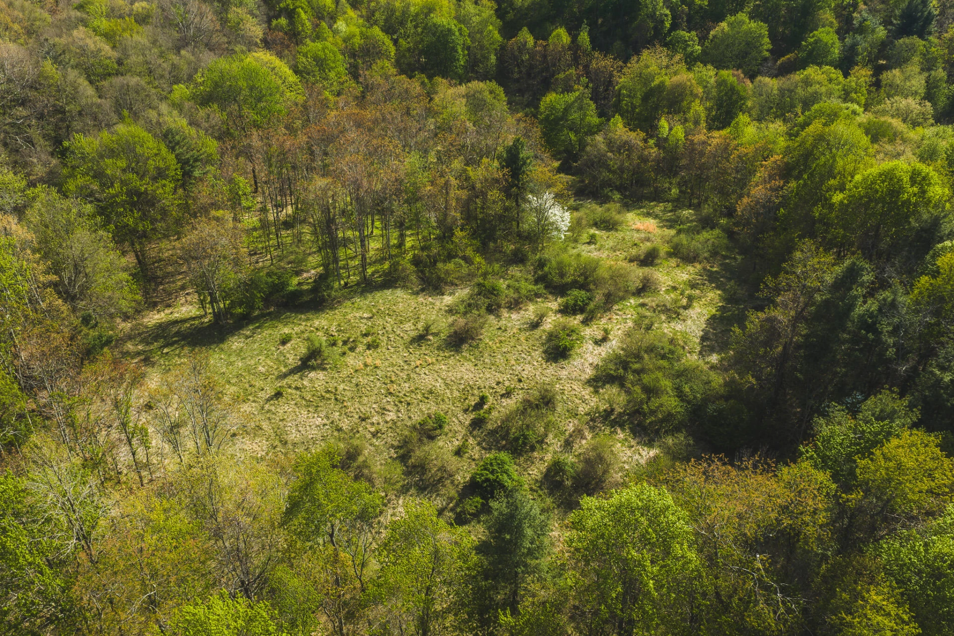 TBD Black Ridge RD - Photo 5