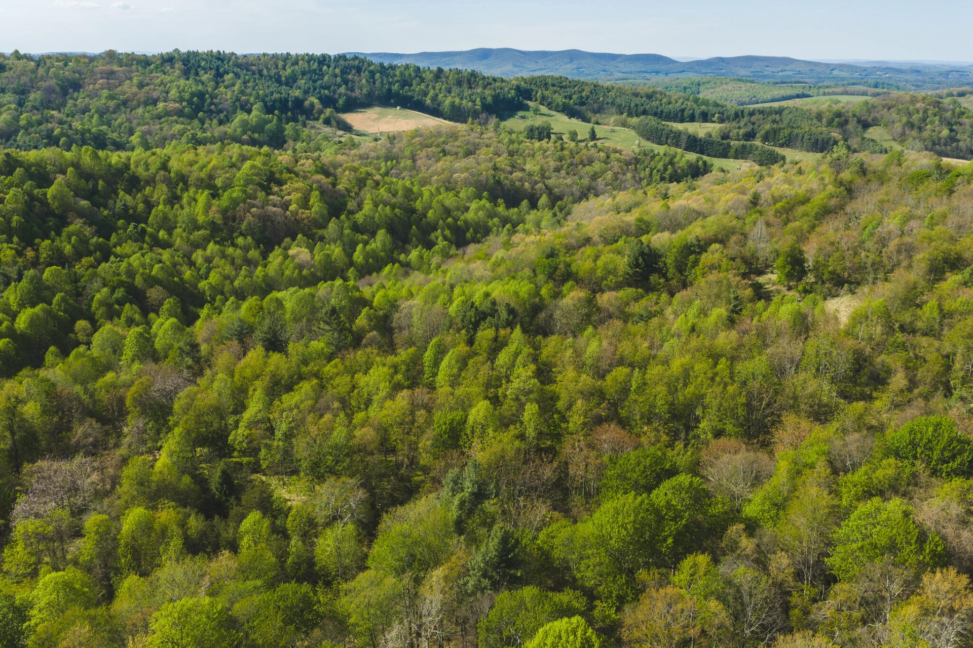 TBD Black Ridge RD - Photo 6