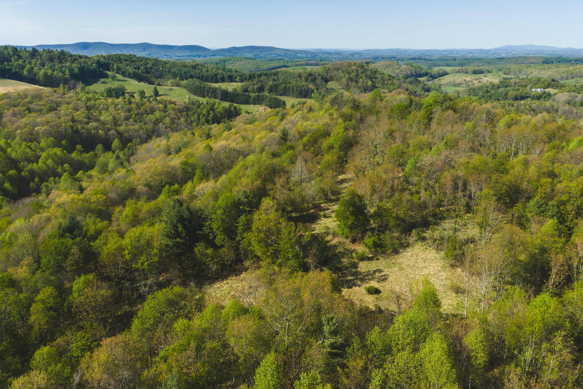 TBD Black Ridge RD - Photo 7