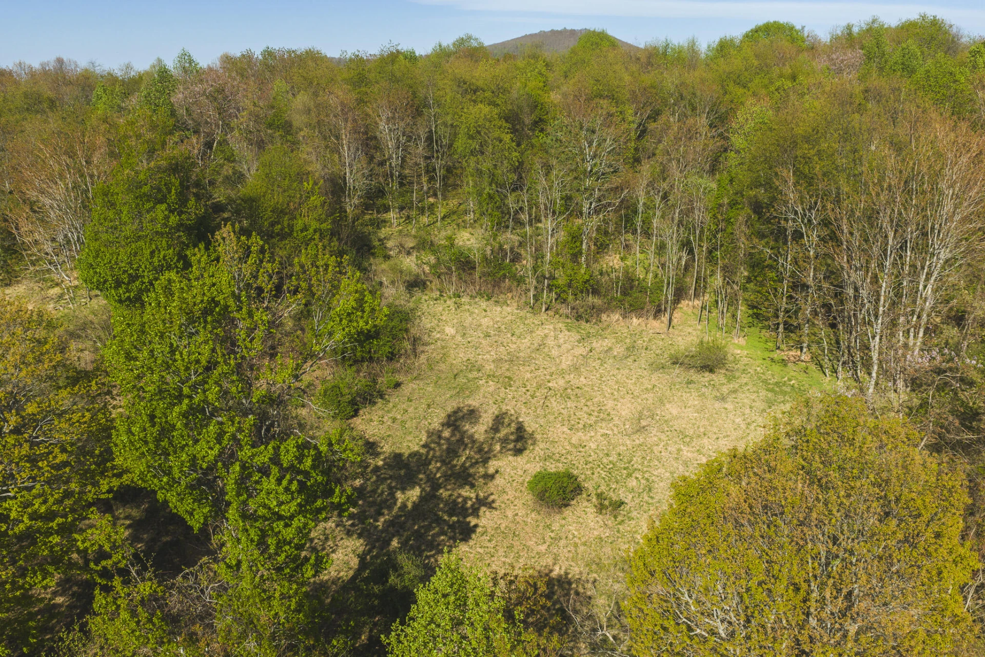 TBD Black Ridge RD - Photo 8