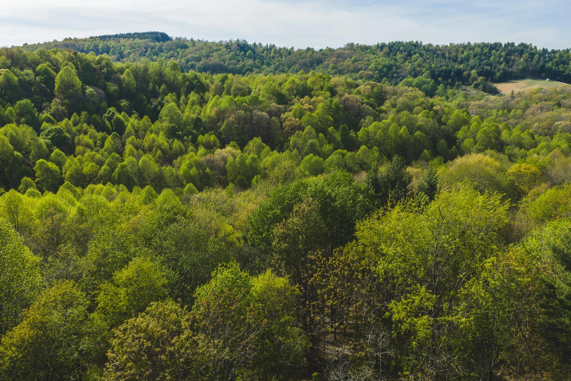 TBD Black Ridge RD - Photo 9