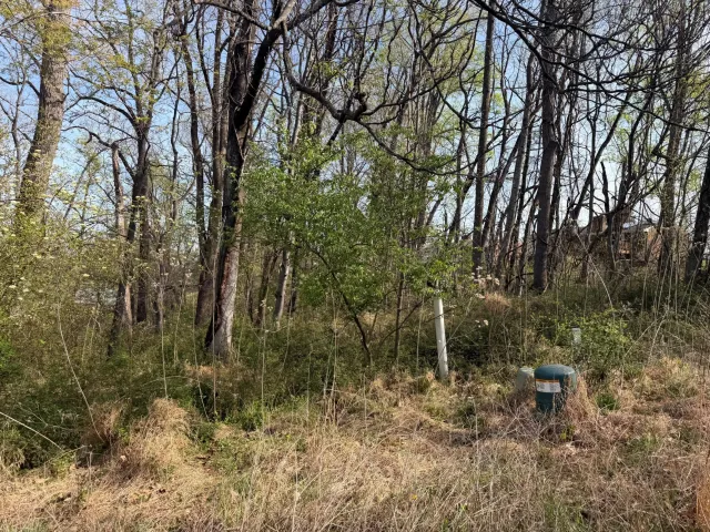 1801 Parker LN, Vinton, VA, 24179