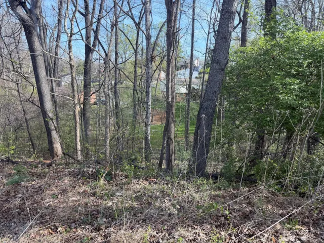 1813 Parker LN, Vinton, VA, 24179