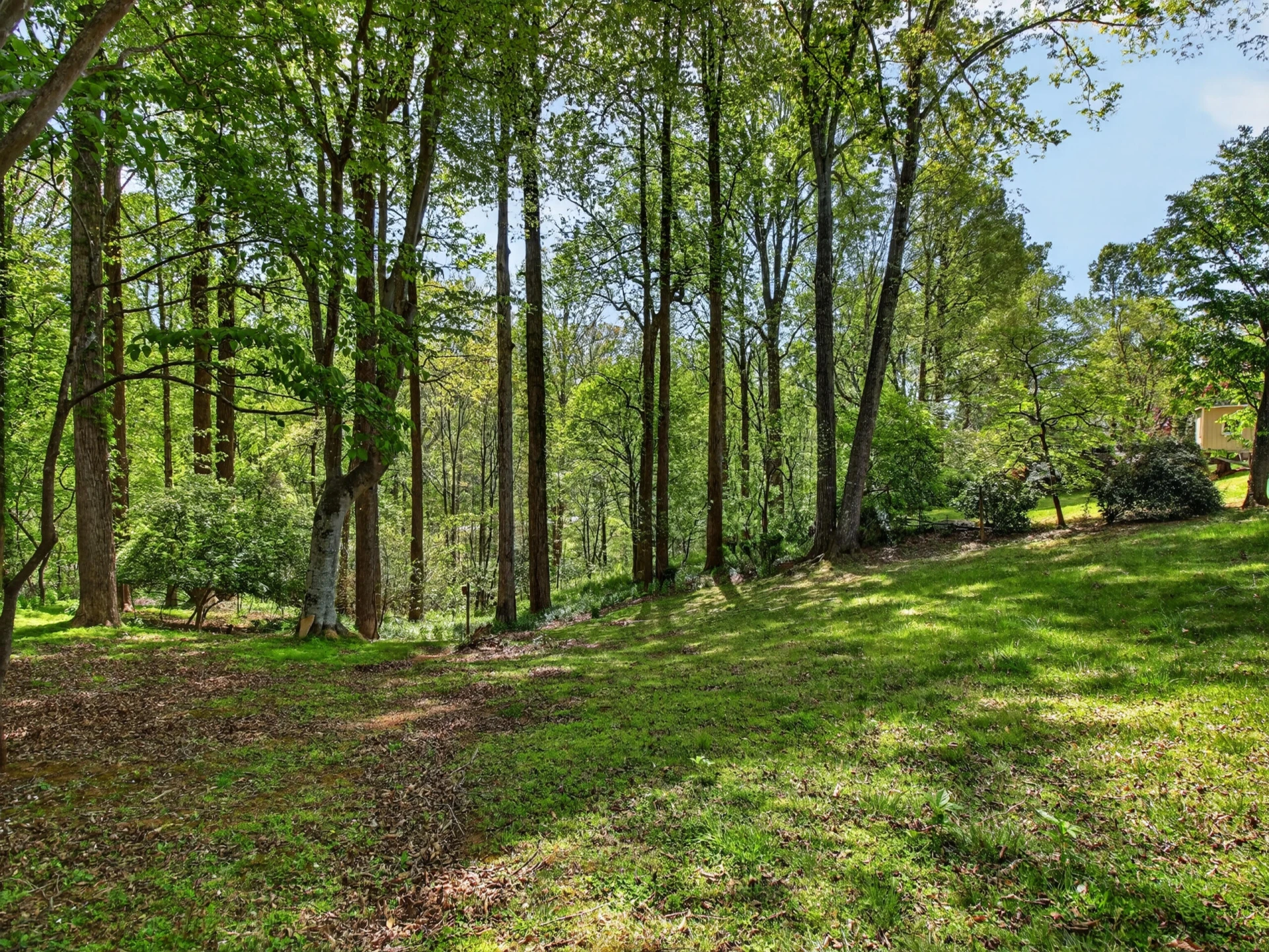 1233 Sam Lions TRL - Photo 51