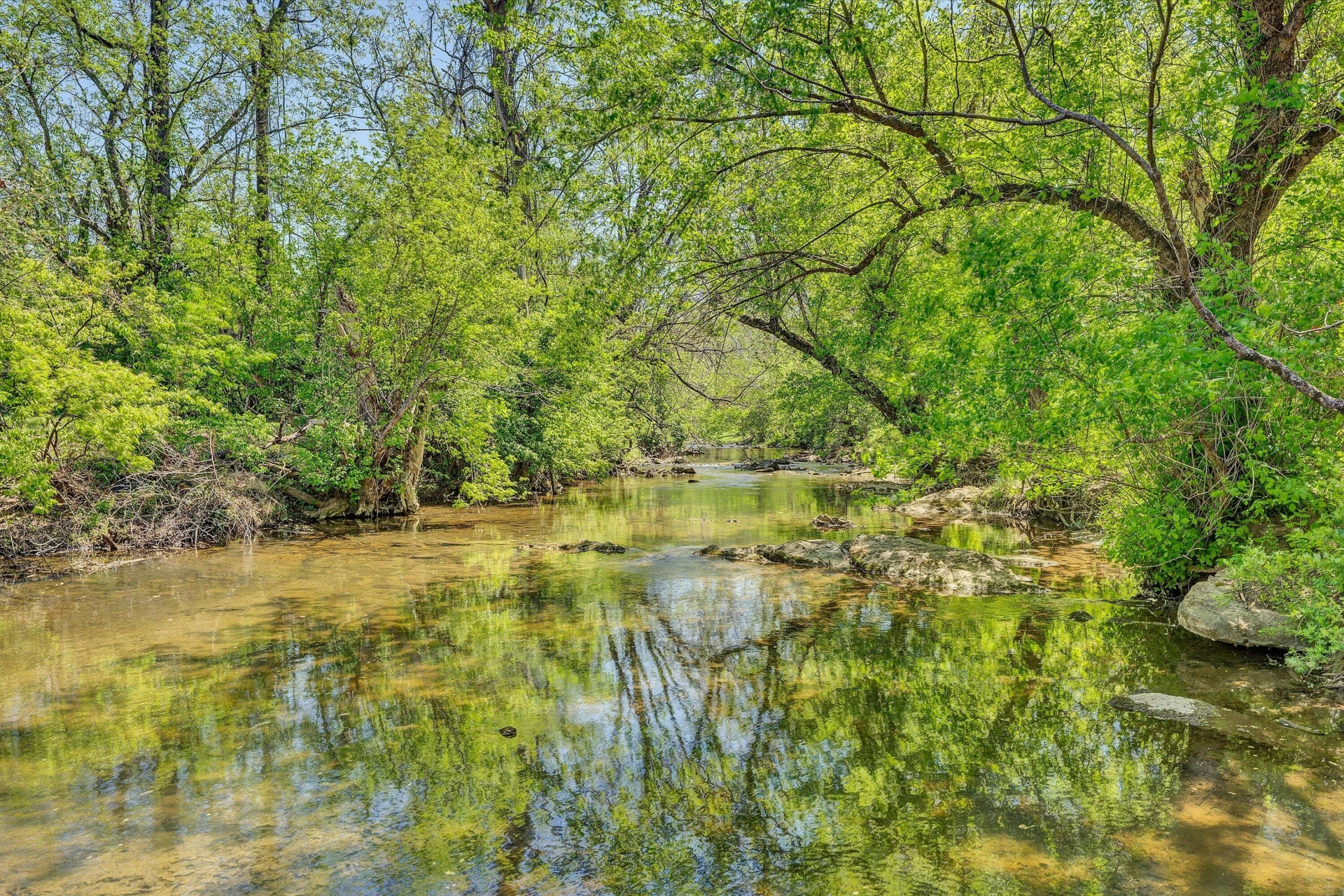 1338 Millers Landing CIR - Photo 39