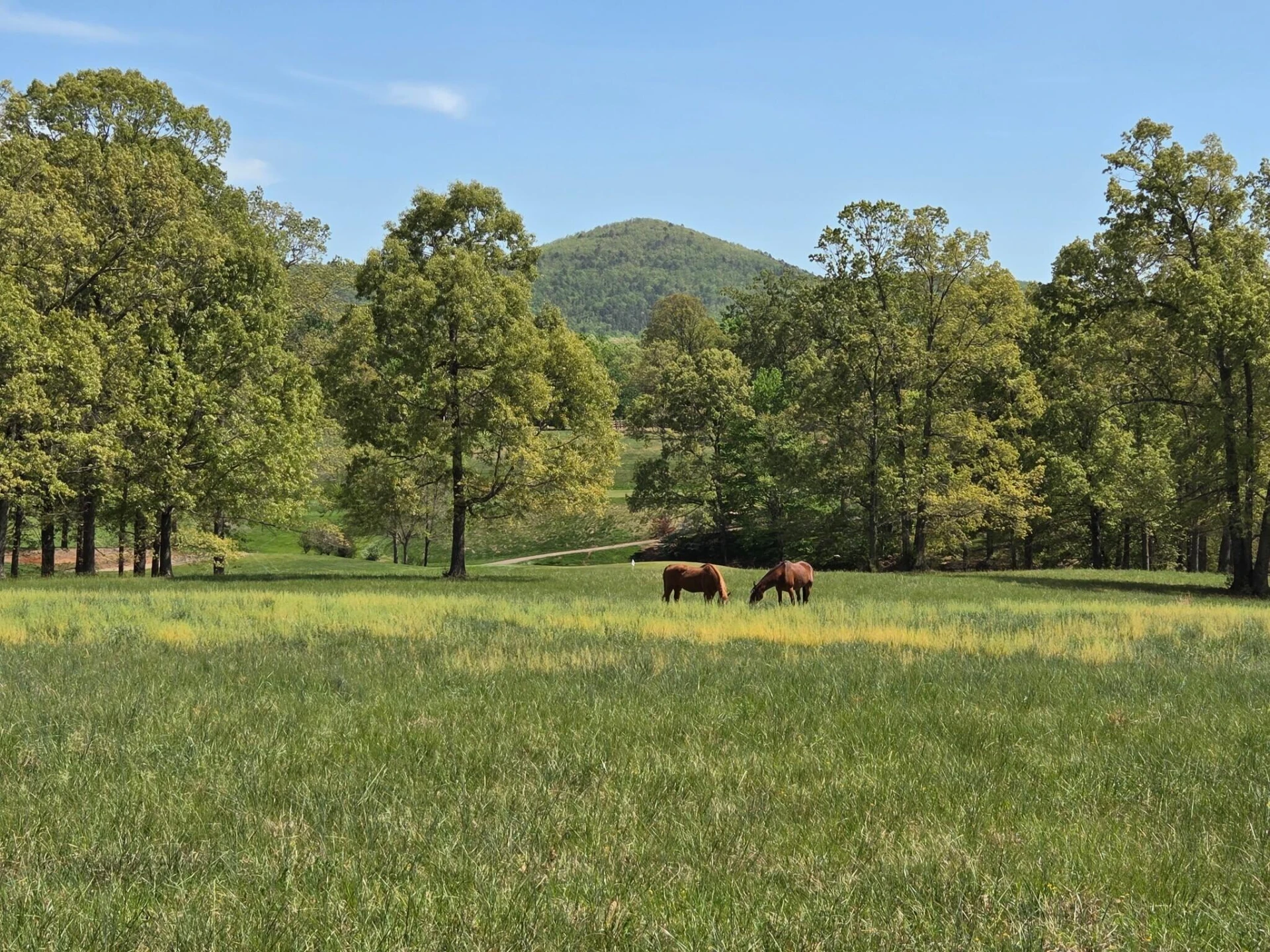 145 Bridleridge RD - Photo 82