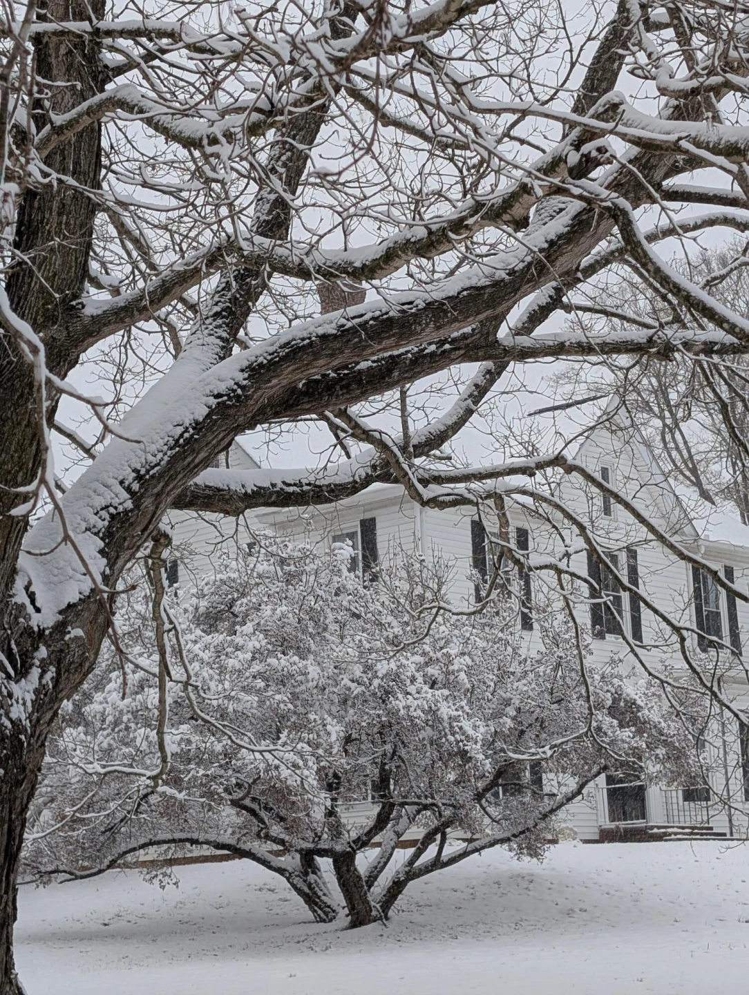 17749 Main ST - Photo 39