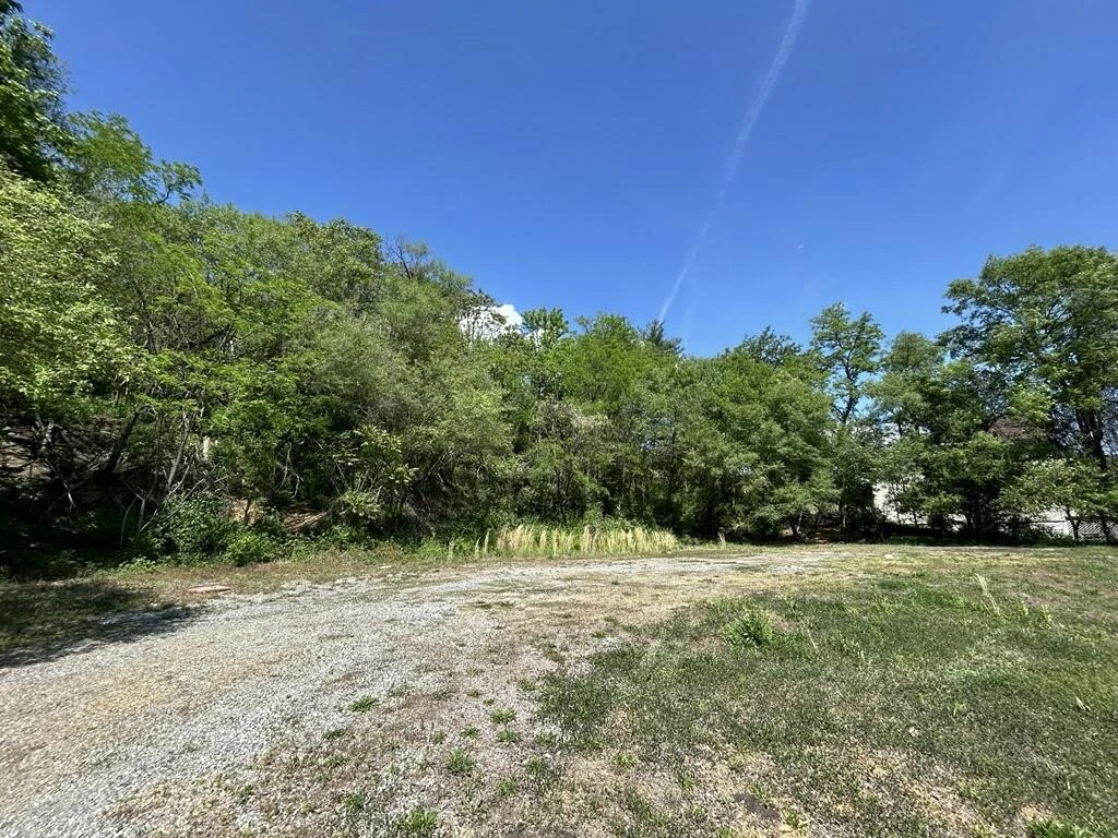 0 Wise AVE - Photo 2