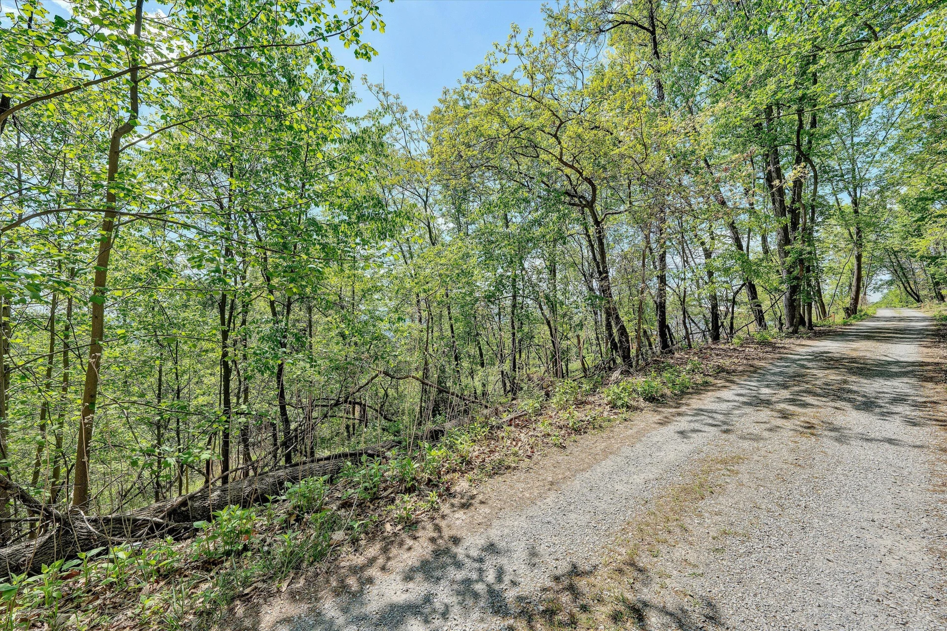 897 Dellwood RD - Photo 47
