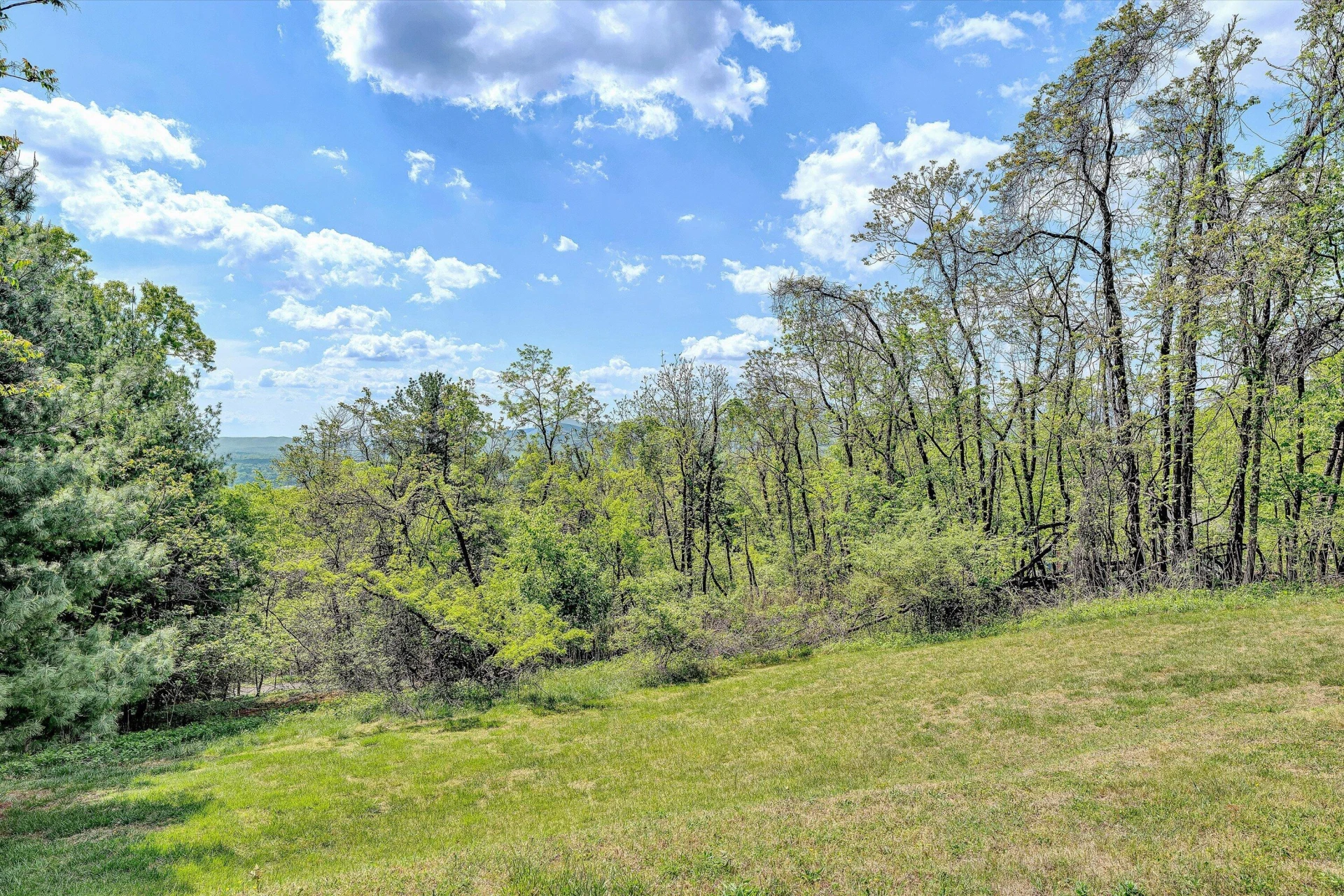 897 Dellwood RD - Photo 45