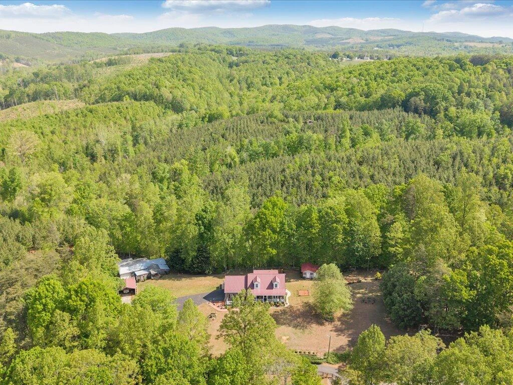 3475 Blue Knob RD - Photo 69