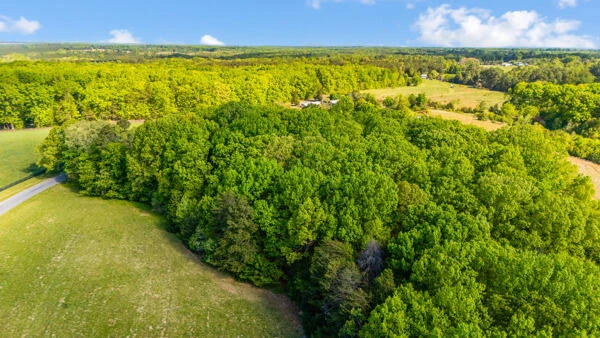 580 Jennings RD - Photo 58
