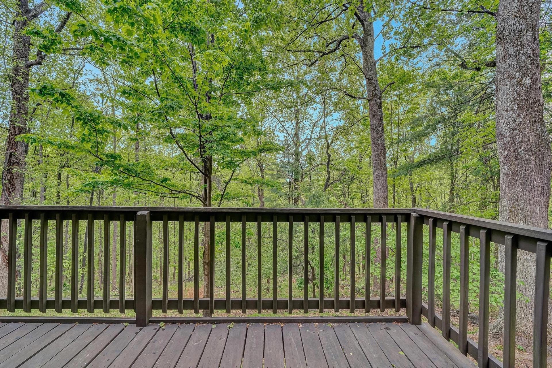 6658 Leffler LN - Photo 57