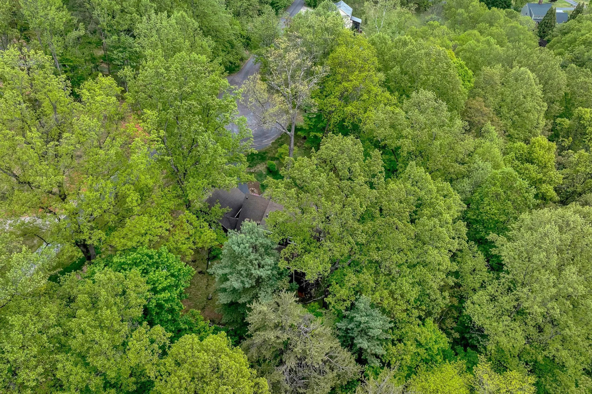 6658 Leffler LN - Photo 70