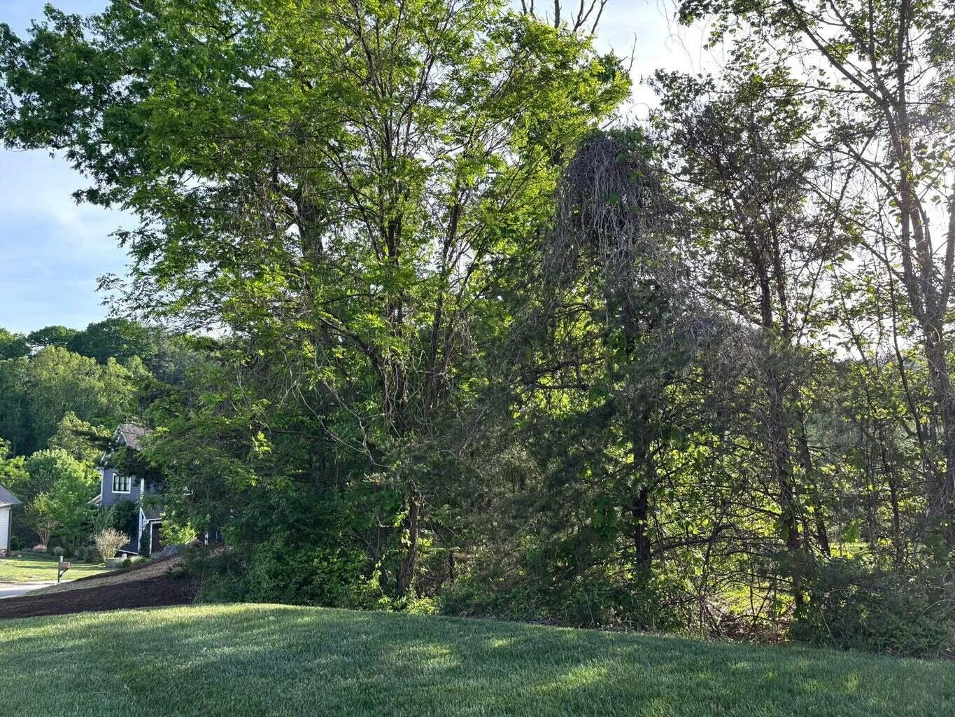 0 Stickley LN