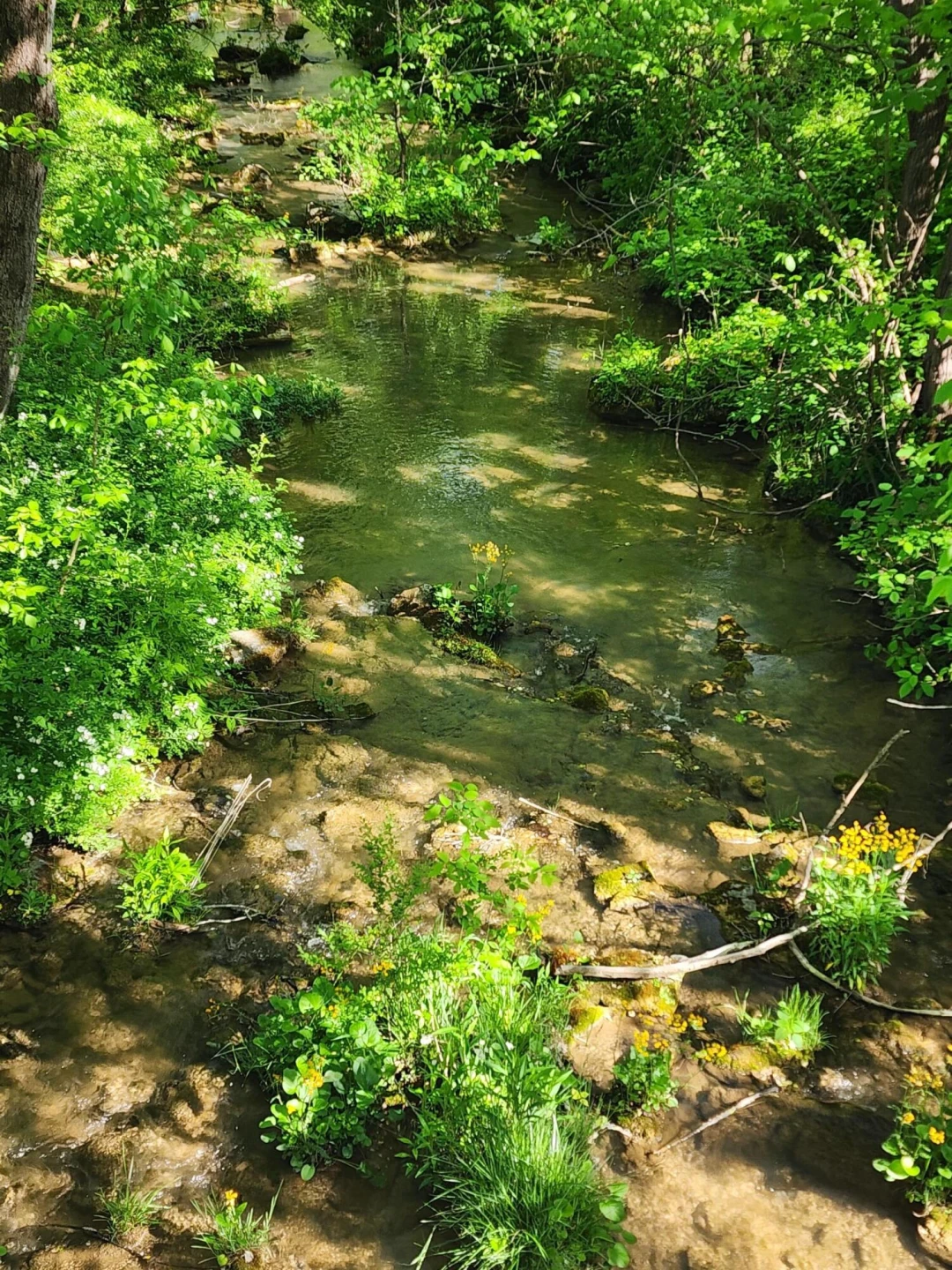 40 River RD - Photo 22