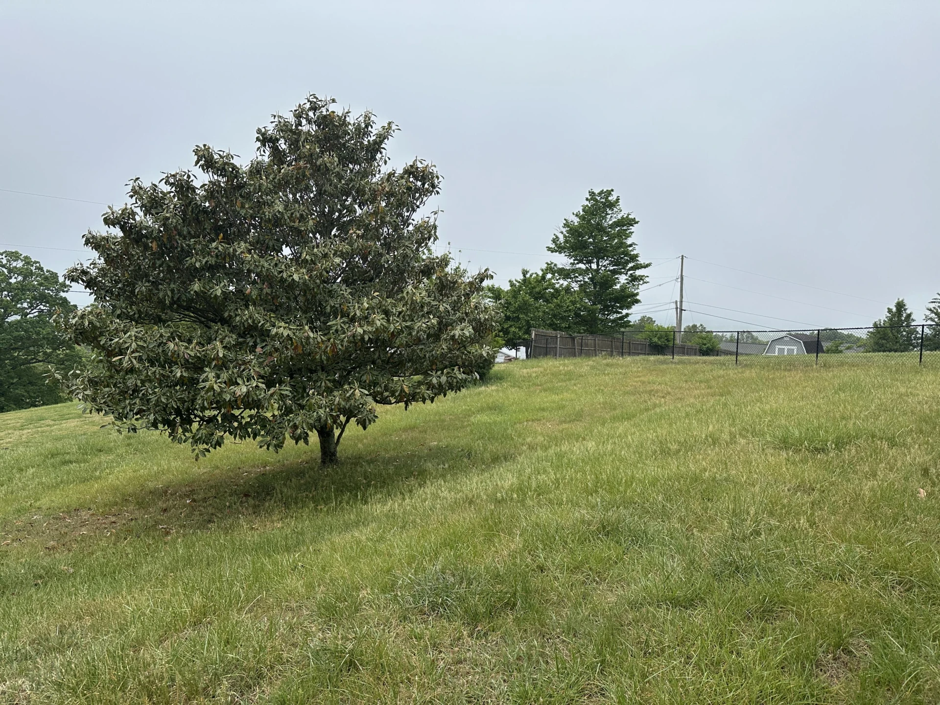 865 Olney RD - Photo 9