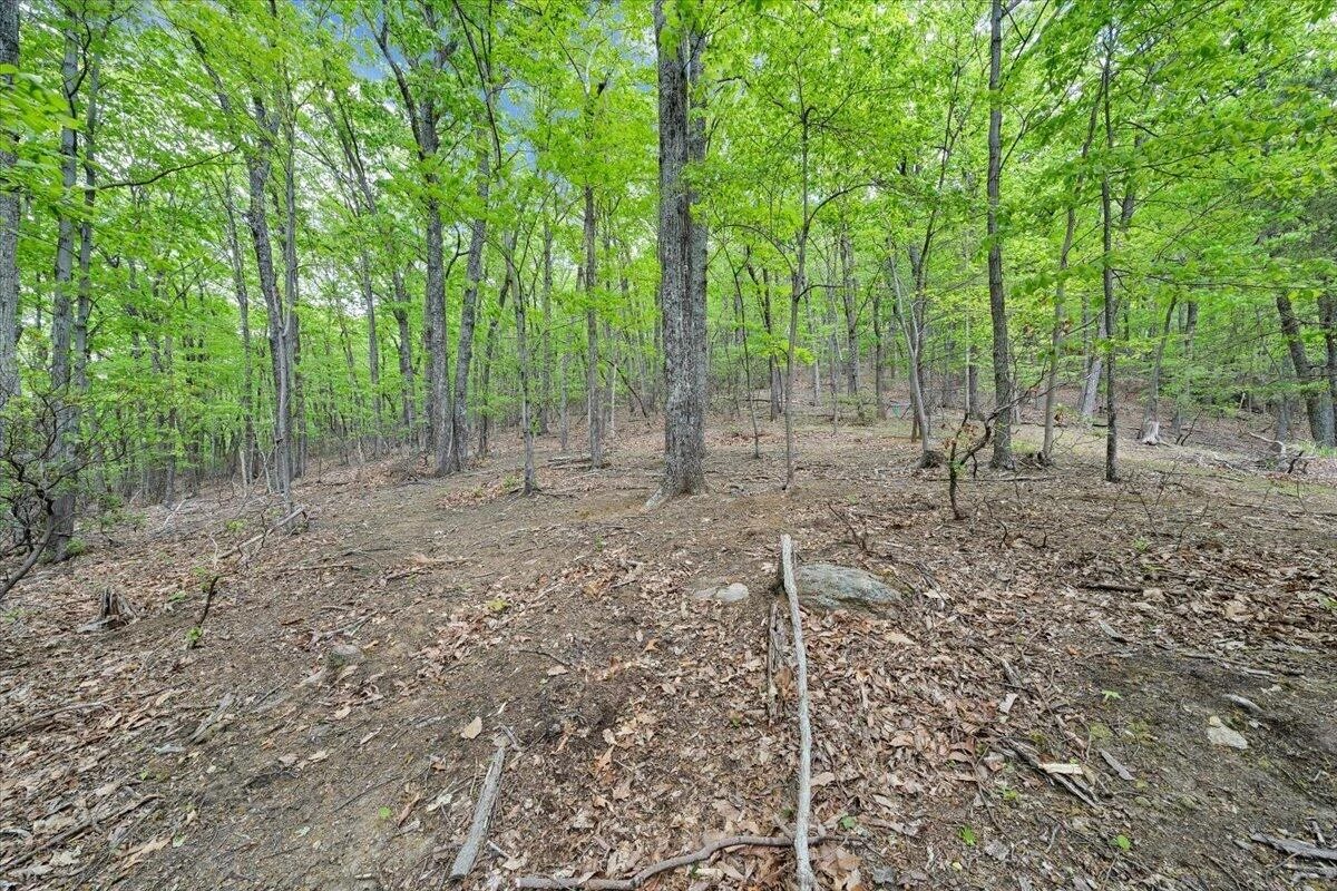 290 Silver Shadow RD - Photo 55