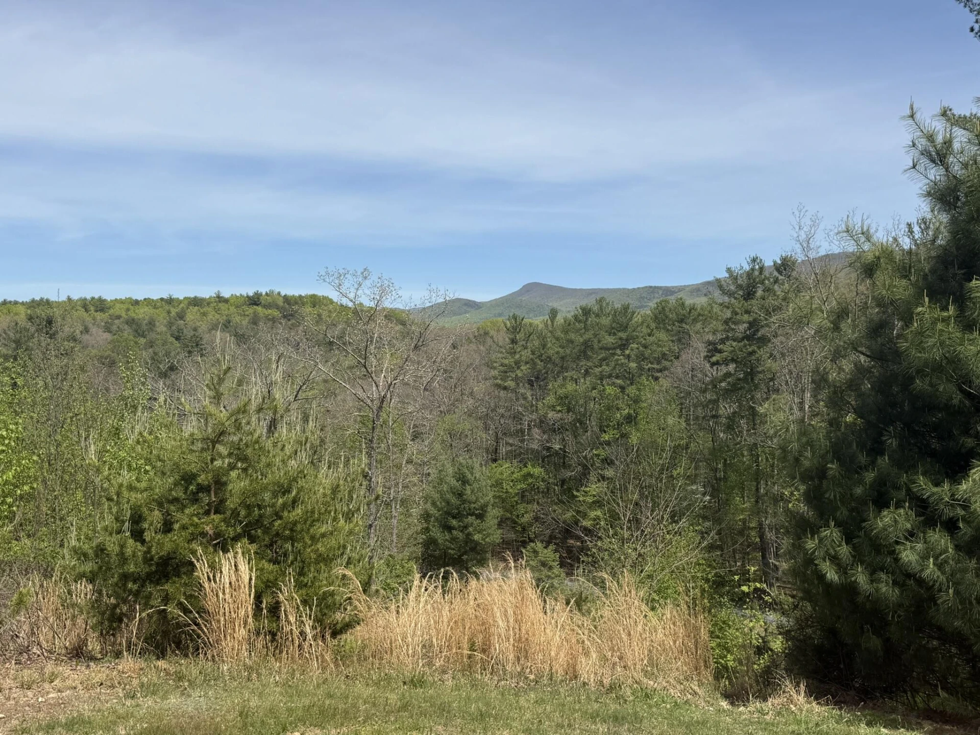 7150 Mill Branch RD - Photo 25