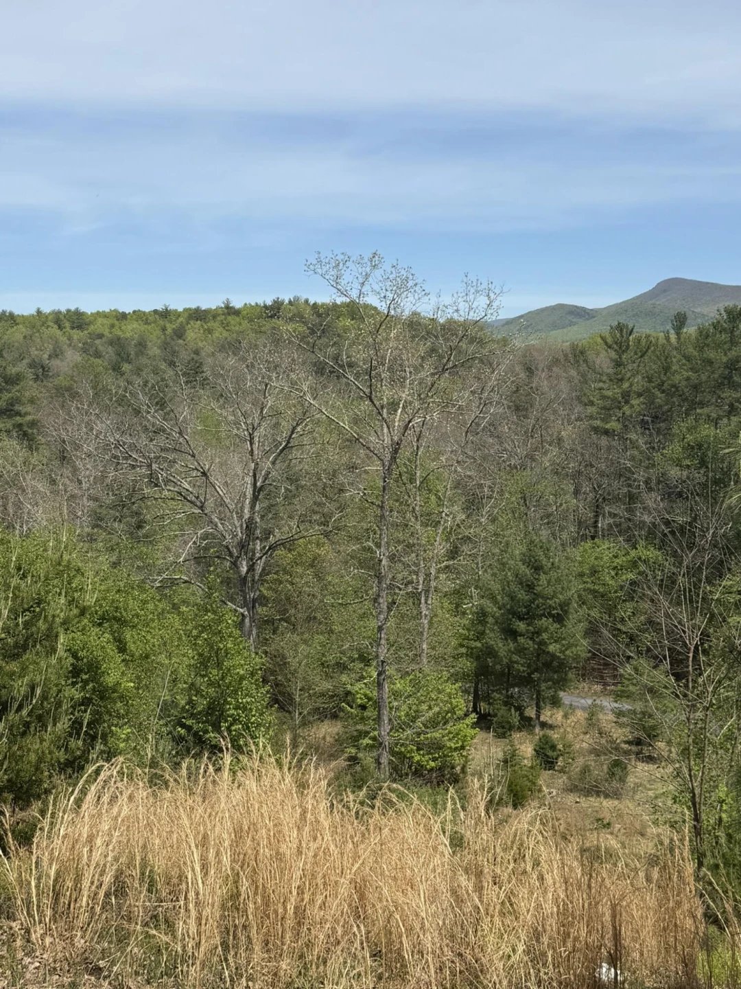 7150 Mill Branch RD - Photo 26