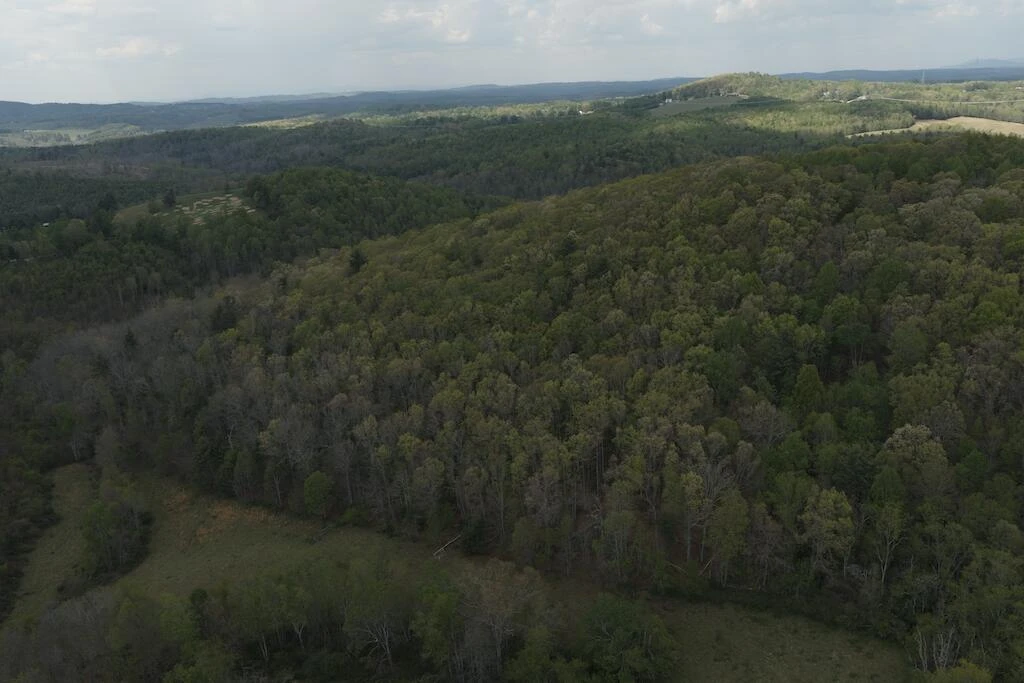 TBD Rock Hill Church RD - Photo 2