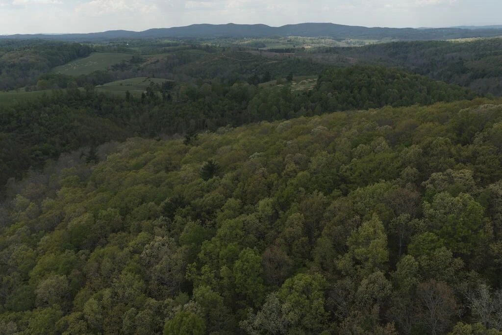 TBD Rock Hill Church RD - Photo 3