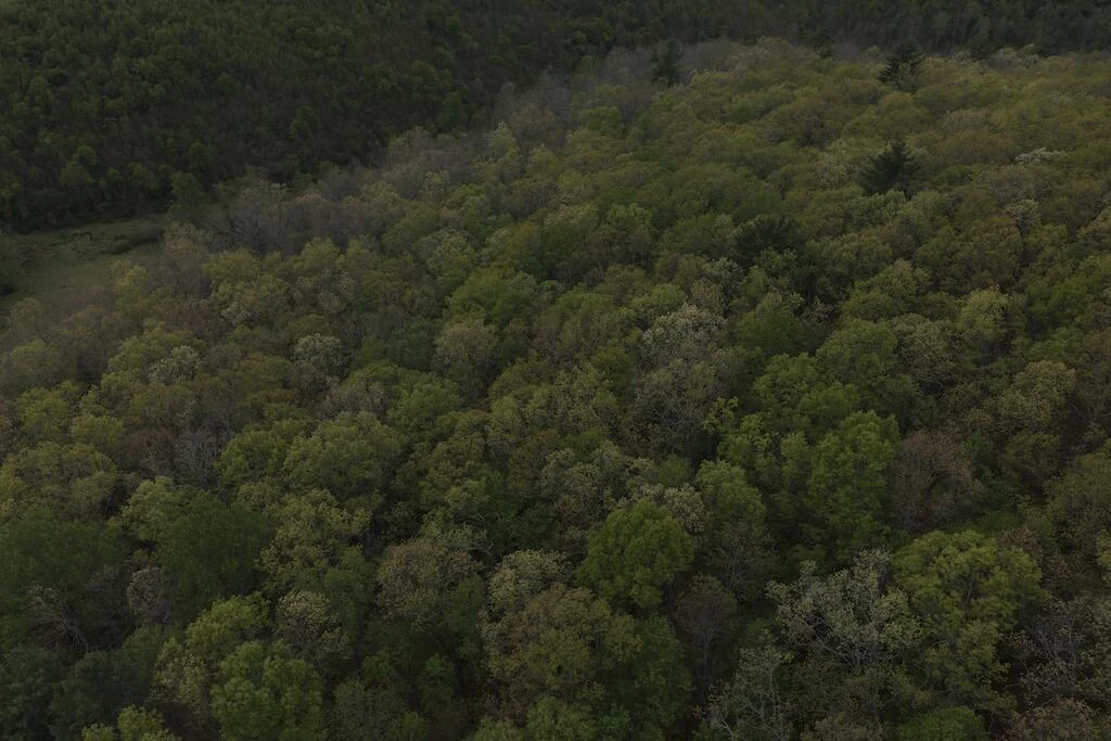 TBD Rock Hill Church RD - Photo 4