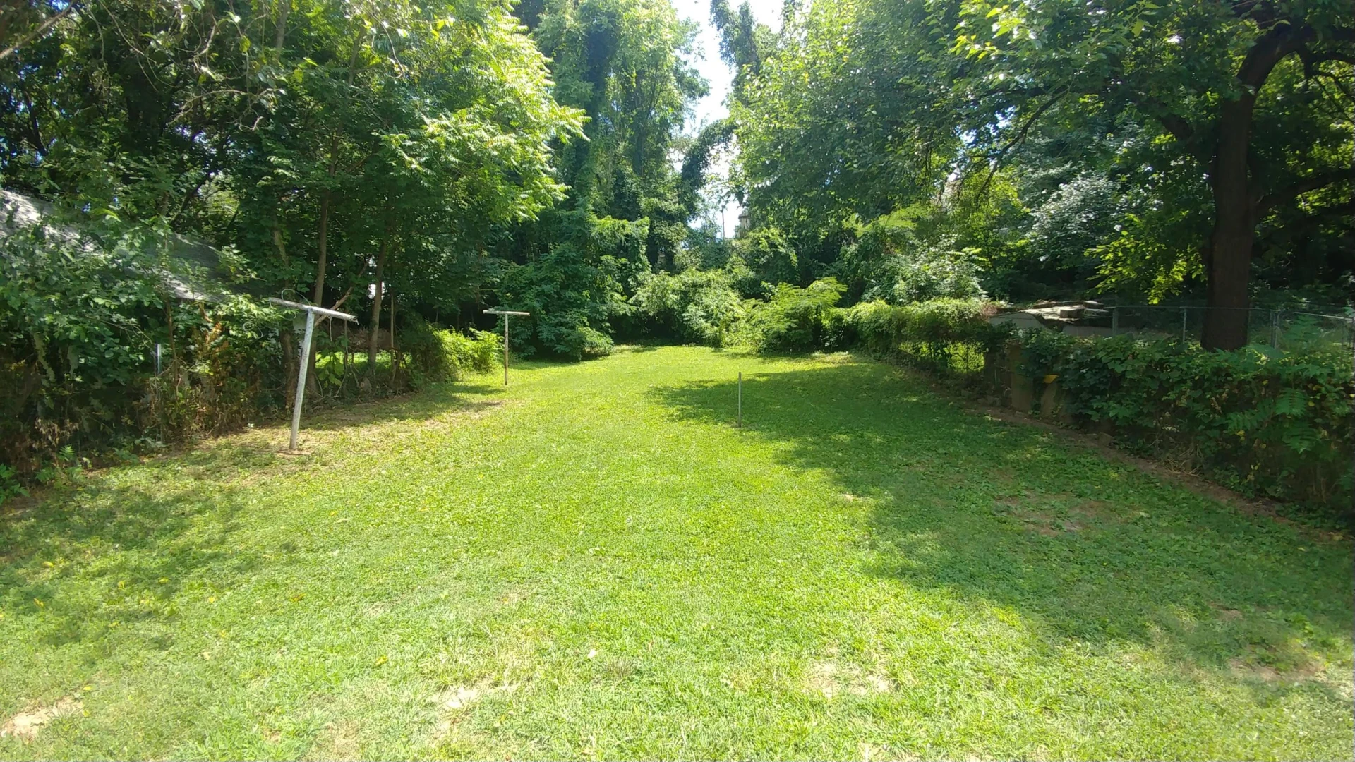 1240 Buena Vista BLVD - Photo 13