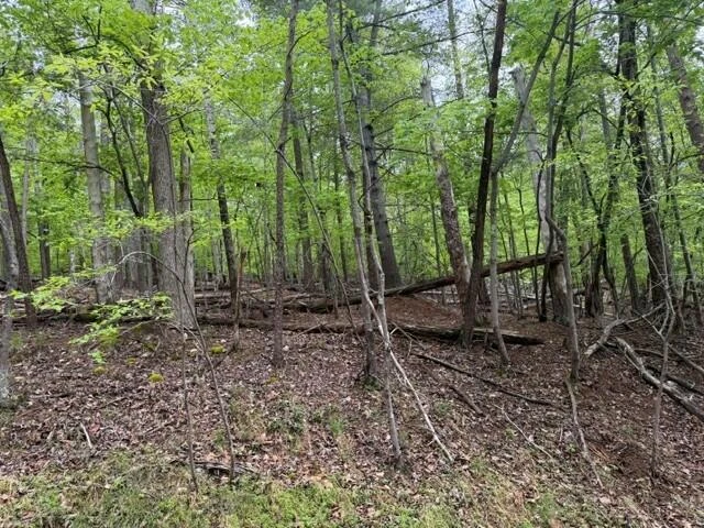 Lot 44 Chestnut DR - Photo 5