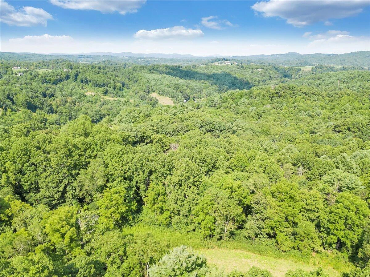 0 Sowers Mill Dam RD - Photo 10