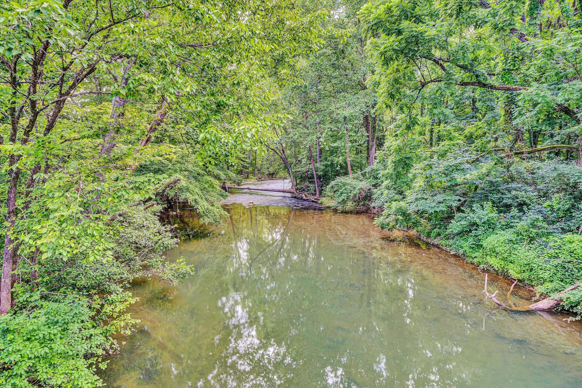 109 Berties Bottom LN - Photo 55