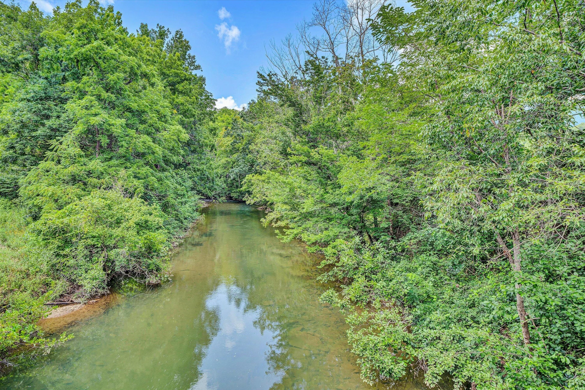 109 Berties Bottom LN - Photo 56