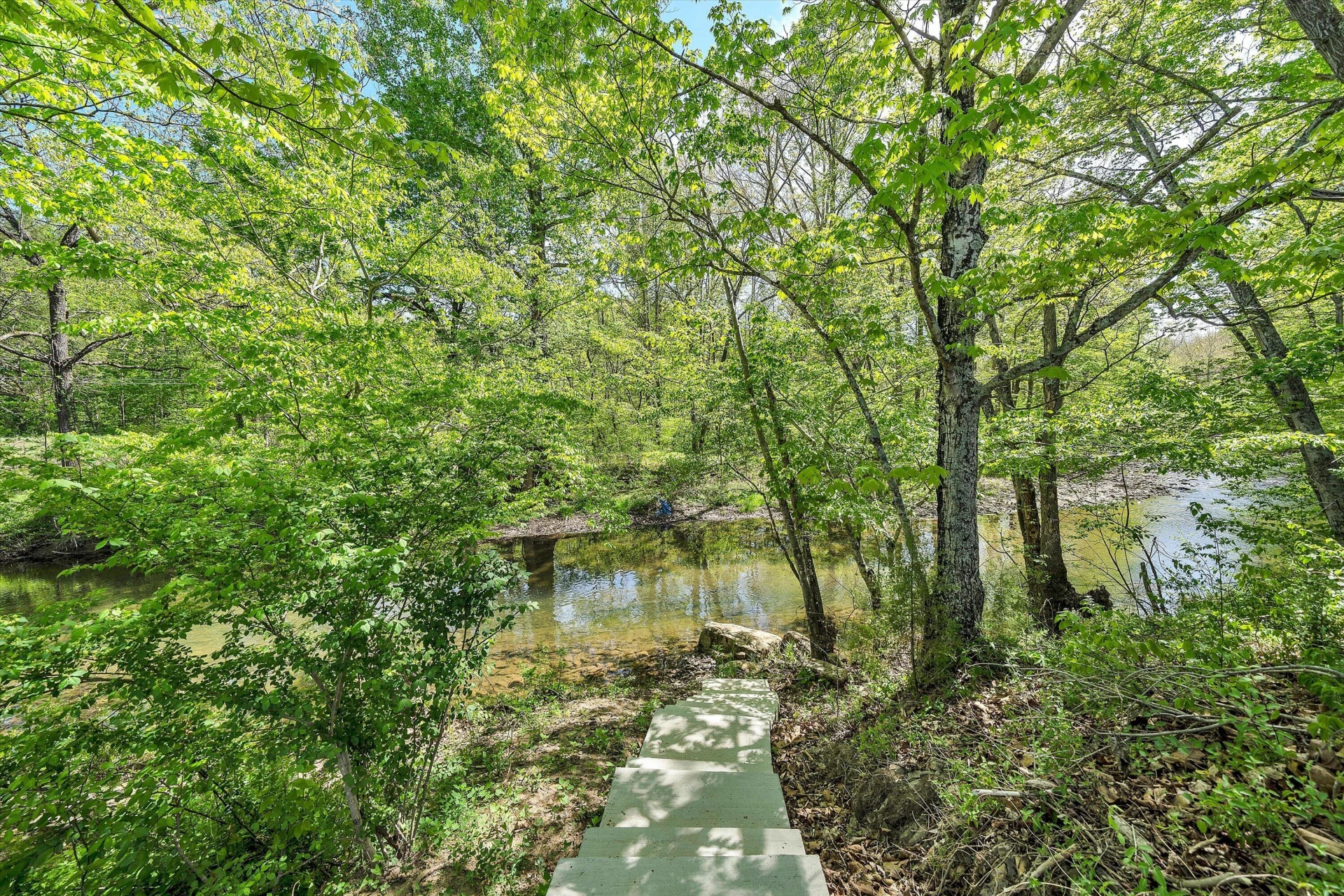 109 Berties Bottom LN - Photo 62