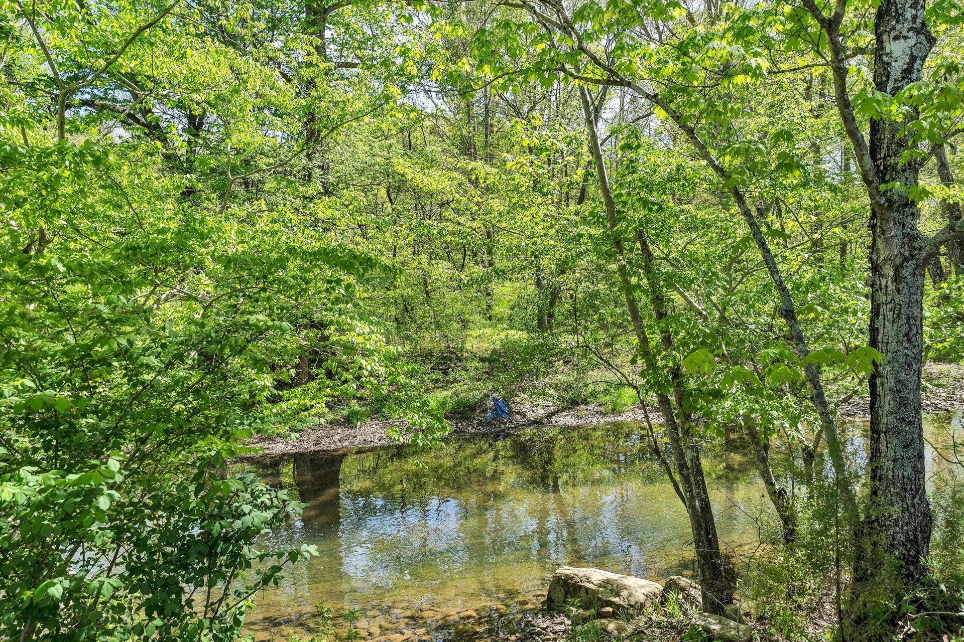 109 Berties Bottom LN - Photo 63