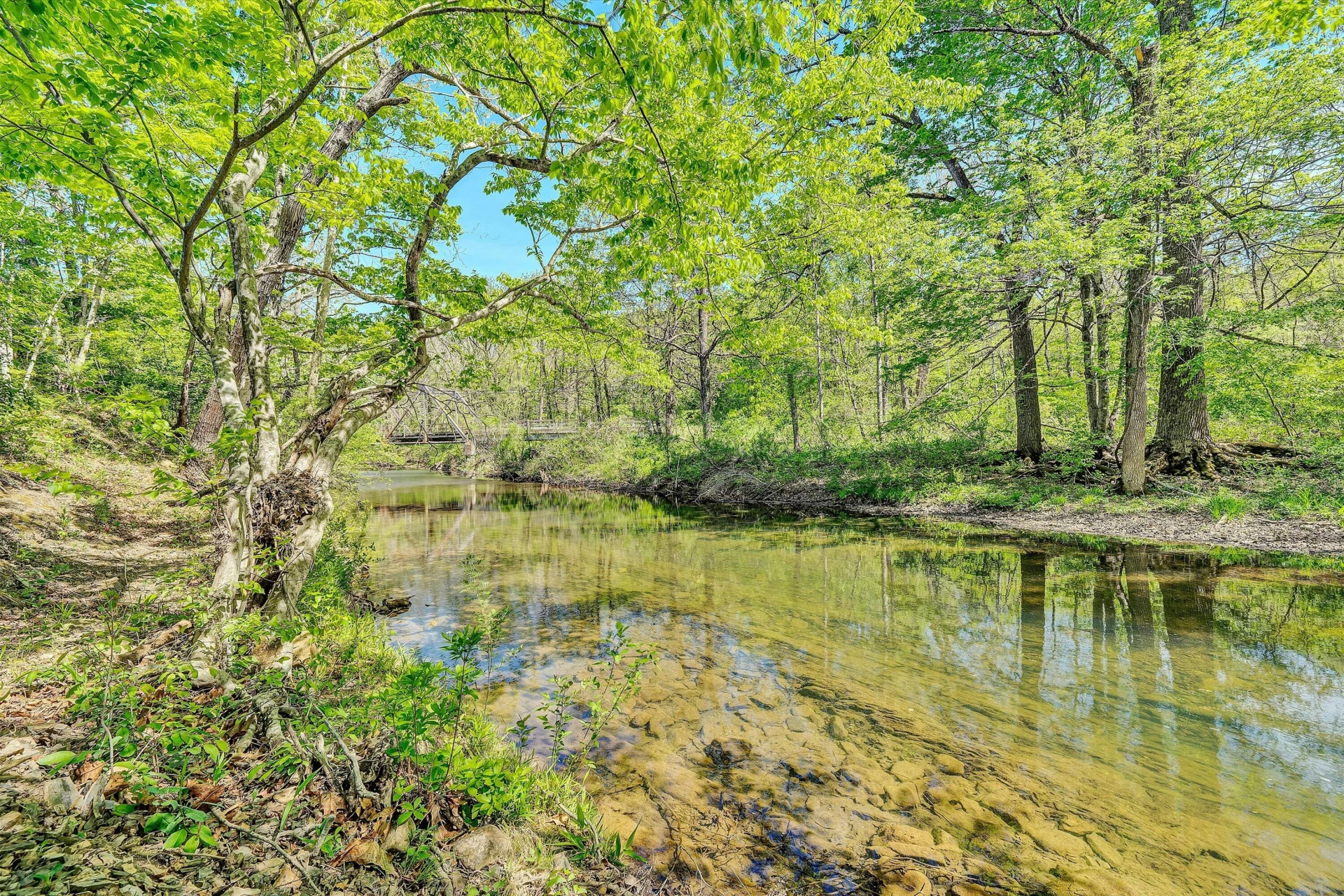109 Berties Bottom LN - Photo 66