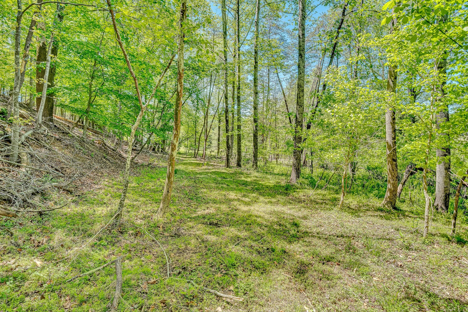 4758 Bandy RD - Photo 52