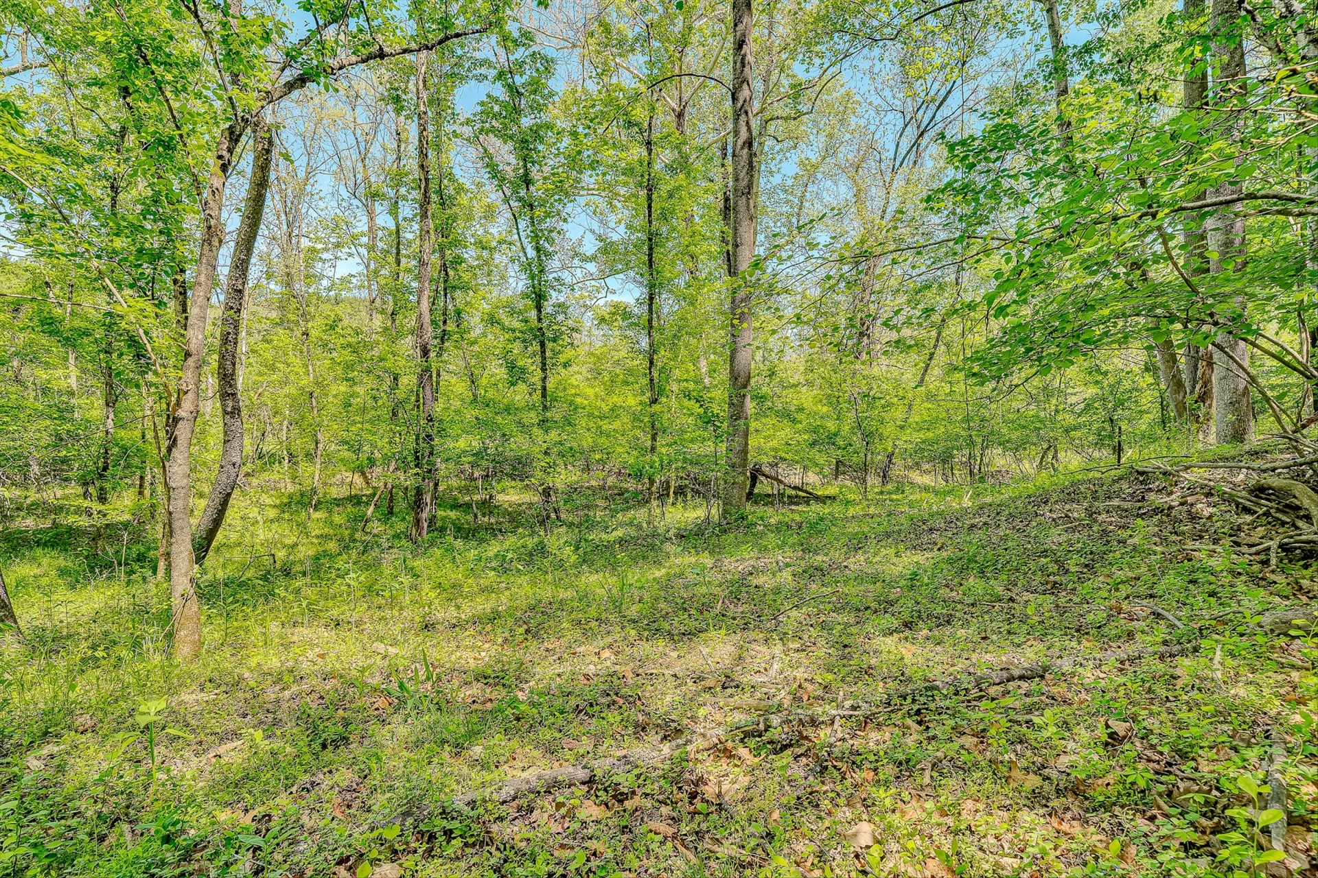 4758 Bandy RD - Photo 53