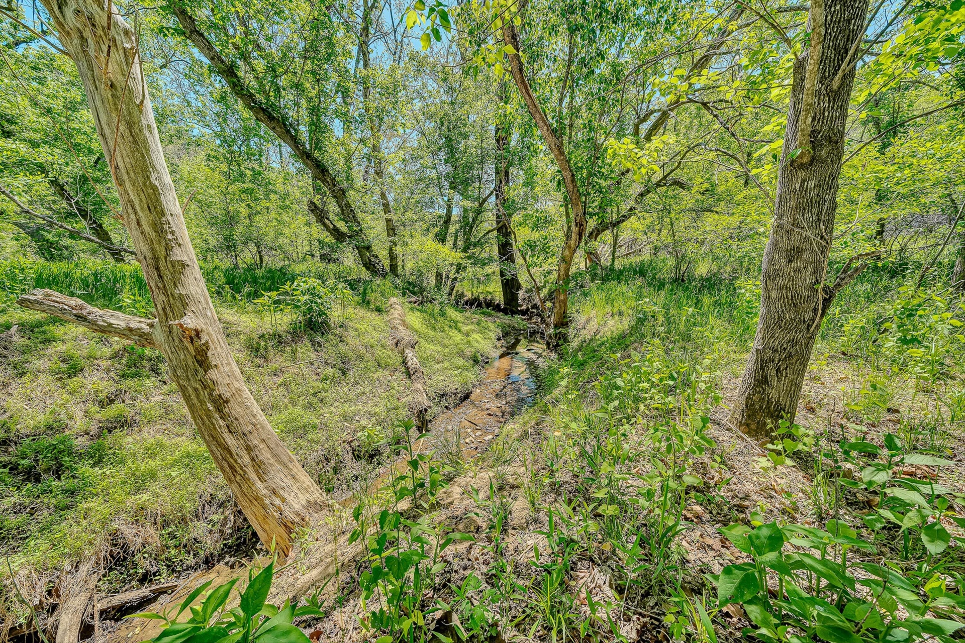 4758 Bandy RD - Photo 57