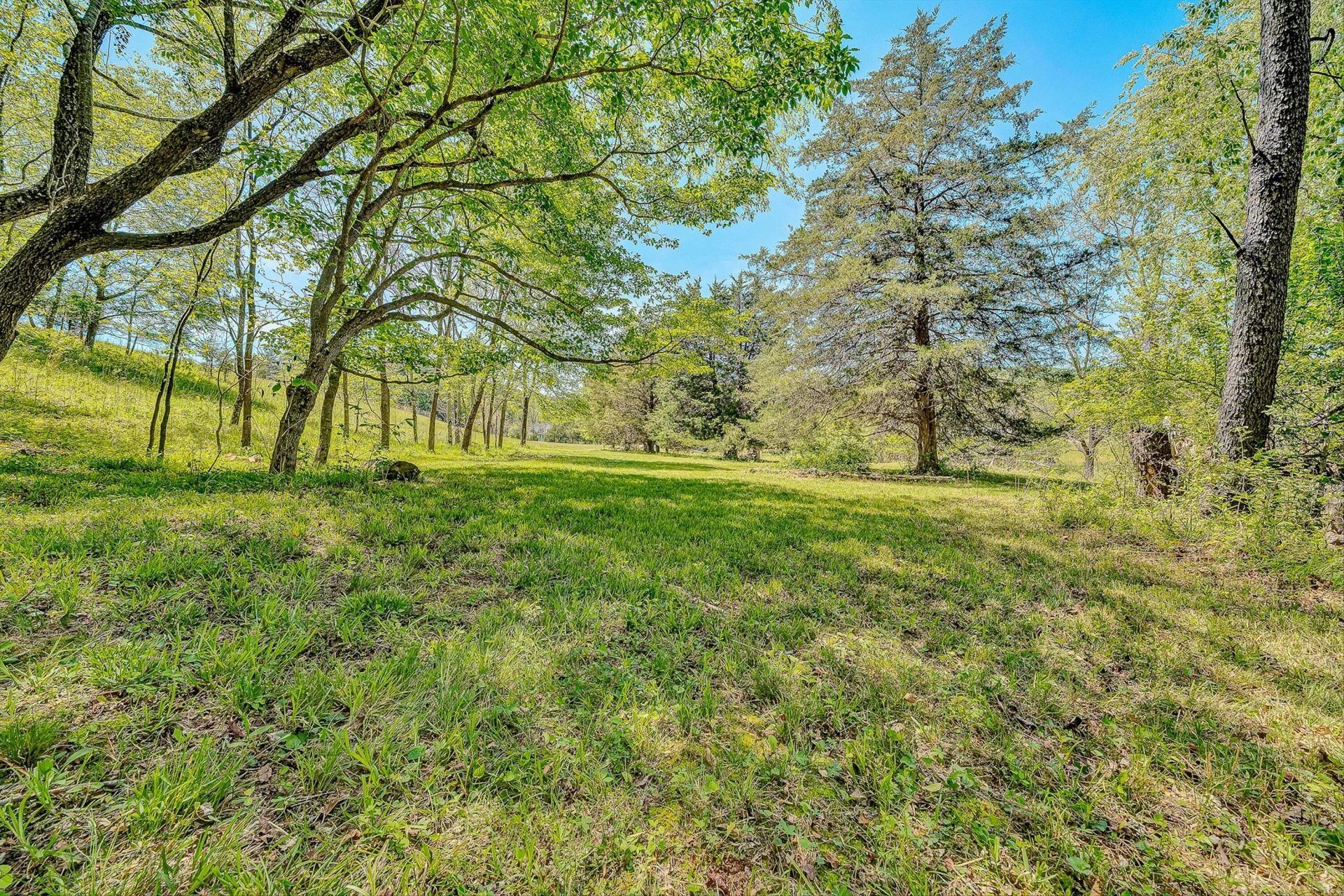 4758 Bandy RD - Photo 58