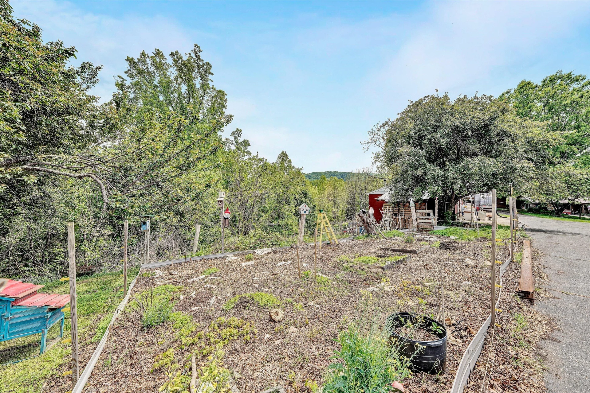 3913 Saul LN - Photo 44