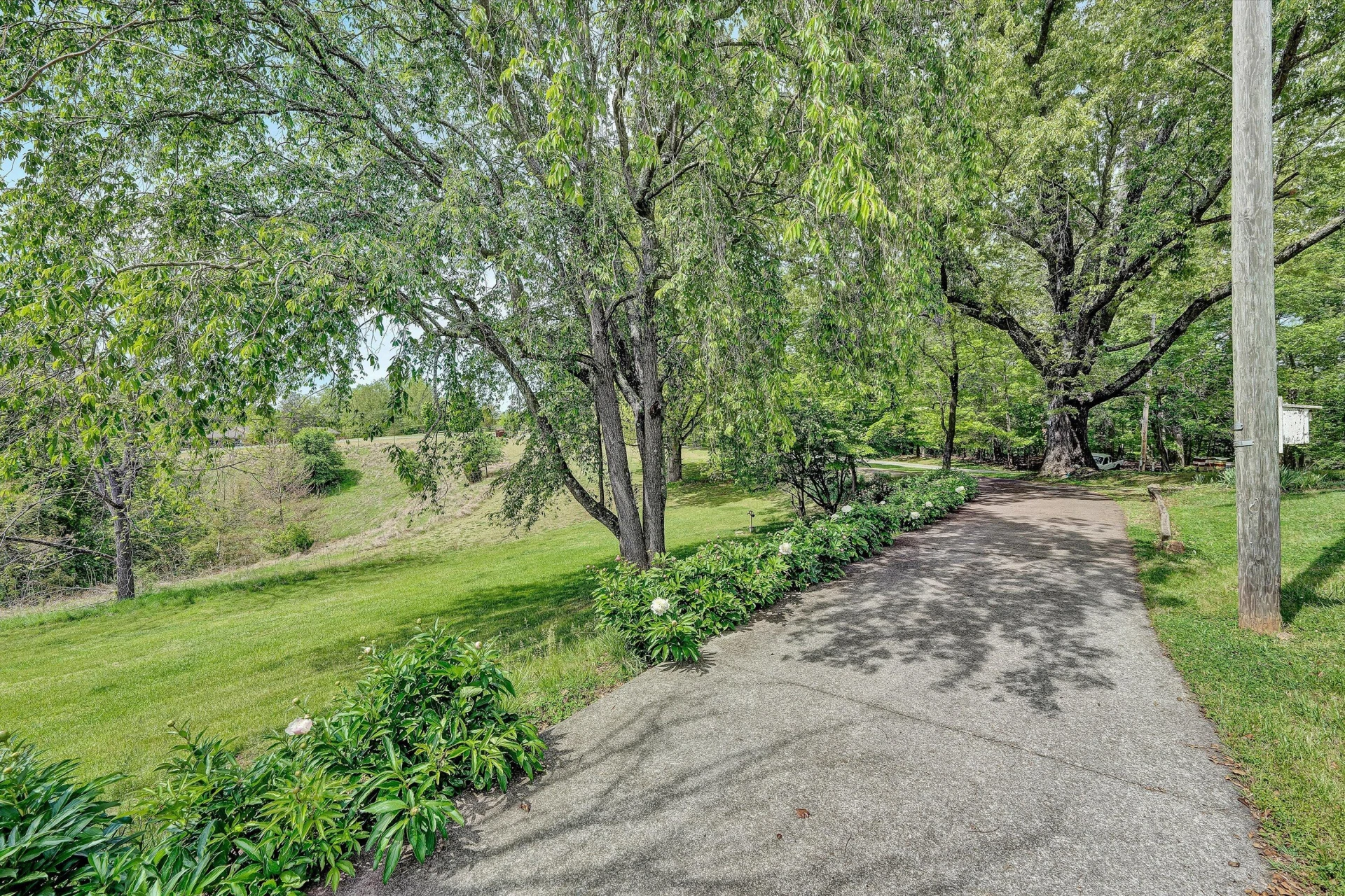 3913 Saul LN - Photo 47