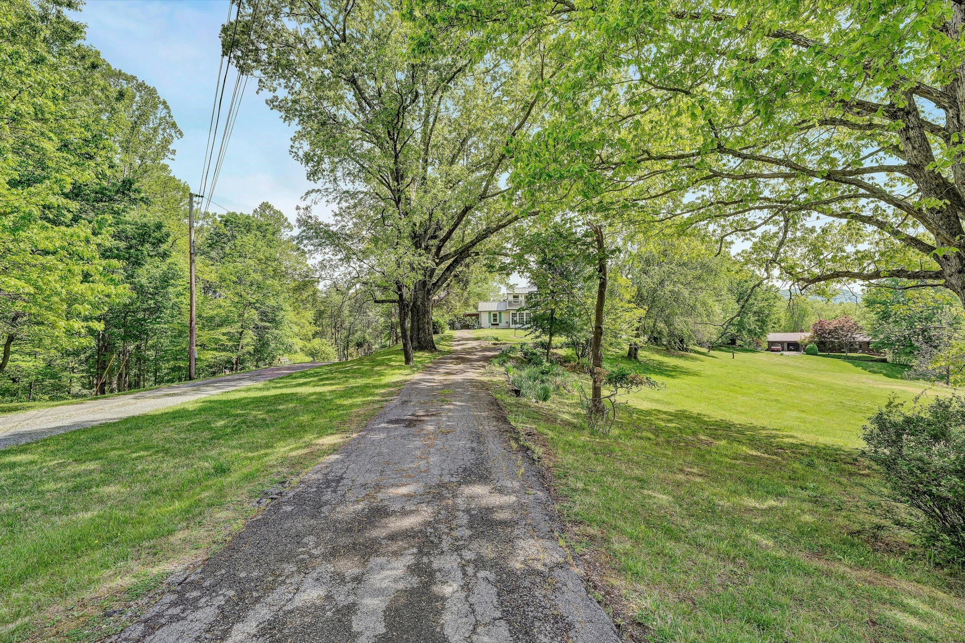 3913 Saul LN - Photo 51